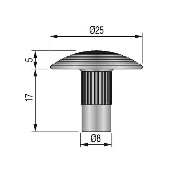 DINACLOU 25 mm (tête du clou) - à sceller