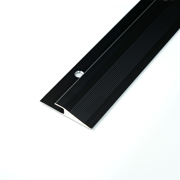 MINI RAMPE D'ACCÈS RMP6 39 mm - 2,70 m - à visser pour revêtement de 5 mm