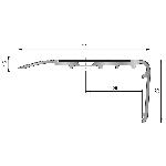 Nez de marche 2CBis 67x32mm - 4,00m à visser