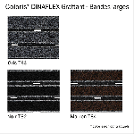 DINAFLEX GRATTANT BANDES LARGES rouleau 20m - laize 1m - Noir