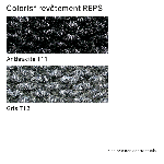 TAPIS TRÈS GRATTANT DOLOMITES rouleau 25m - laize 2m - Anthracite