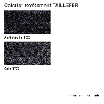 tapis SÉCHANT TAILLEFER 60 x 90 cm - Anthracite